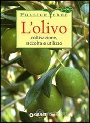 L' olivo. Coltivazione, raccolta e utilizzo