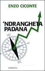 Ndrangheta padana. E-book
