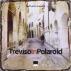 Treviso in polaroid