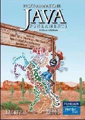 Programmazione Java