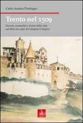 Trento nel 1509. Societ&agrave;, economia e storia della citt&agrave; nel libro di conti di Calepino Calepini