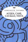 Acqua, cane, cavallo, testa