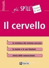 prezzi Il cervello
