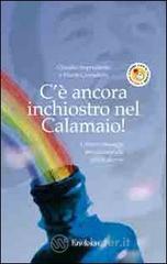 C'&egrave; ancora inchiostro nel calamaio! Lettere e messaggi per educarsi alle abilit&agrave; diverse