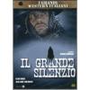 Il grande silenzio