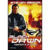 Black Dawn