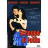 Schegge di follia