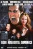 Ogni maledetta domenica (2 Dvd)