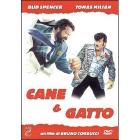 Cane e gatto