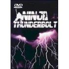 Ninja Thunderbolt