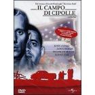 Il campo di cipolle
