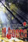Il bosco Il bosco