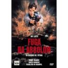 Fuga da Absolom