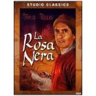 La rosa nera