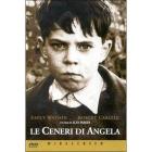 Le ceneri di Angela