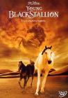 Young Black Stallion Young Black Stallion