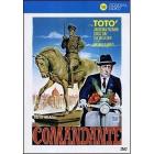 Il comandante