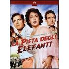 La pista degli elefanti