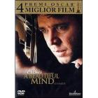 A Beautiful Mind