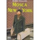 Mosca a New York