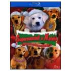 Supercuccioli a Natale blu-ray e dvd