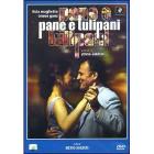 Pane e tulipani