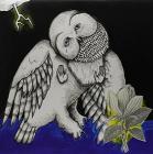 Magnolia electric co.(deluxe reissue) (Vinile)