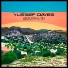 Experience live at joshua tree (presente (Vinile)