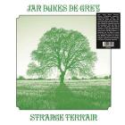 Strange terrain (Vinile)