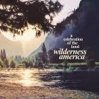 Wilderness america, a celebration of the land (Vinile)