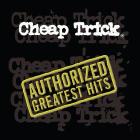 Authorized greatest hits (Vinile)