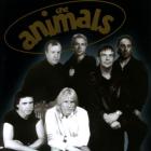 The animals