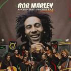 Bob marley & the chineke!