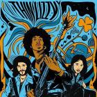 The acustic sessions (Vinile)