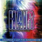 Hair (orchestra)