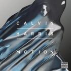 Motion (Vinile)