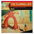 Yoshimi battles the pink robot