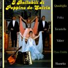 I ballabili di peppino de salvia