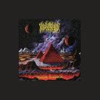 Absolute elsewhere (Vinile)