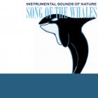 Song of the whales