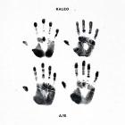 A/b (Vinile)