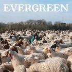 Evergreen... e altre canzoni