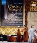 Capuleti e i montechi