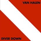 Diver down