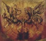 A shadowplay for yesterday (ltd.edt.)