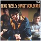Sunset boulevard