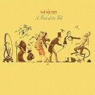 A trick of the tail (Vinile)