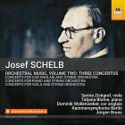 Orchestral music vol.2