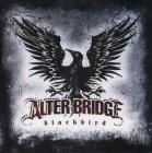 Blackbird (180gr.) (Vinile)