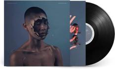 The valley of vision (Vinile)